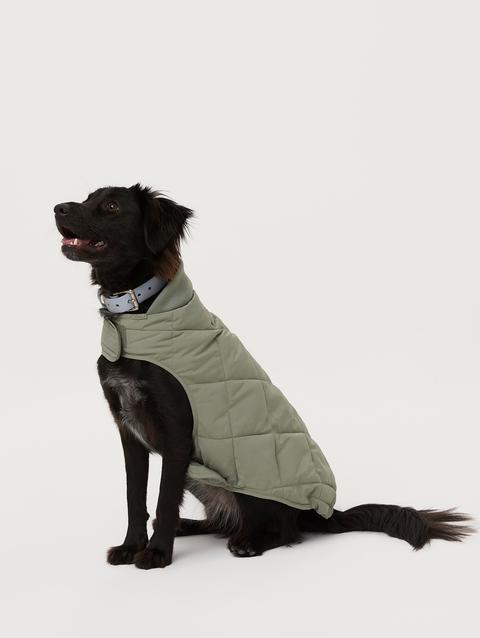 Frank And Oak The Skyline Dog Jacket in Vetiver Green For Sale