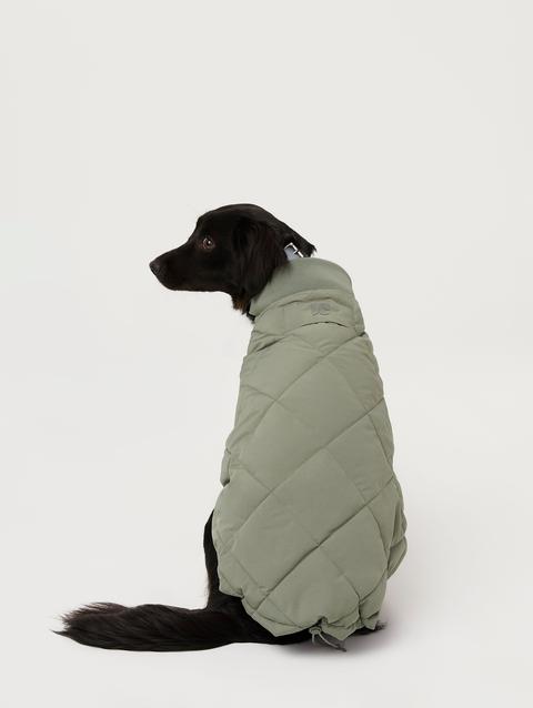 Frank And Oak The Skyline Dog Jacket in Vetiver Green For Sale